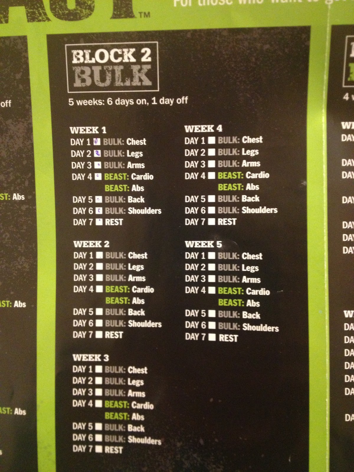 Committed to Get Fit: Week 4 Body Beast Review for Women